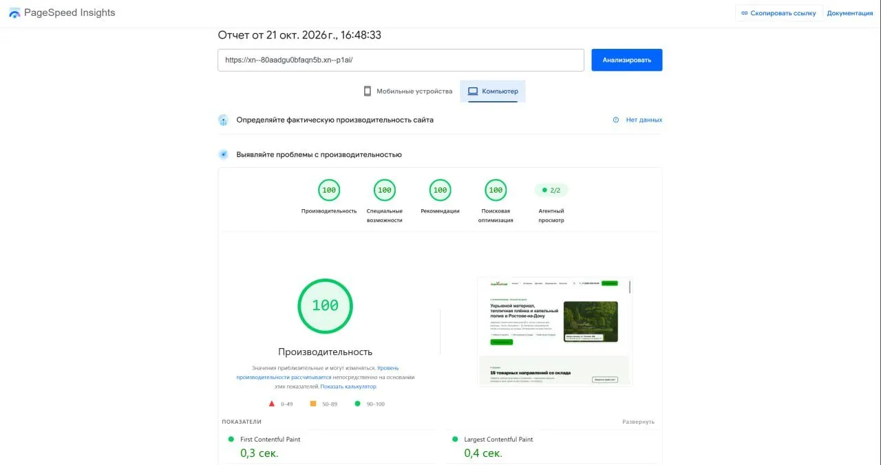 Отчёт PageSpeed Insights для компьютера: 100 из 100 за производительность, специальные возможности, рекомендации и поисковую оптимизацию